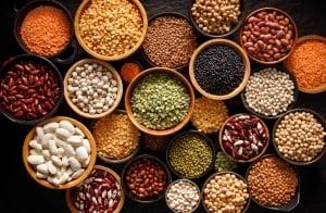 An image showcasing the high-quality pulses exported by The Indian Export Company, including lentils, chickpeas, and beans.